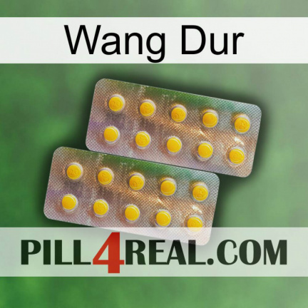 Hard Wang new10
